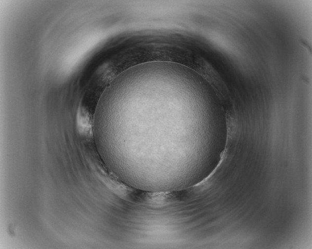 X0000102830191200808251142