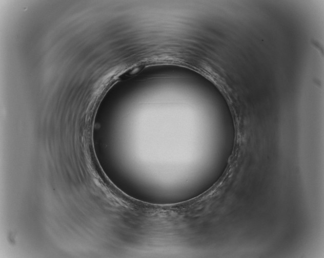 X0000102830193200808251141