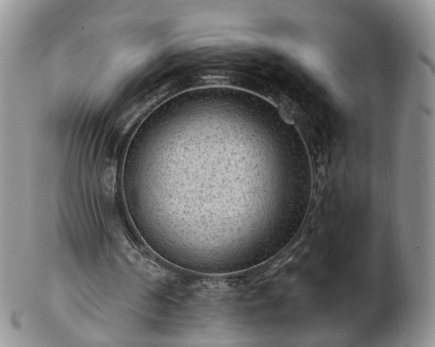 X0000102830194200808251141