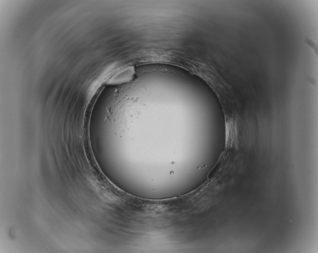 X0000102830195200808251141