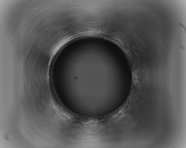 X0000102830196200808251141