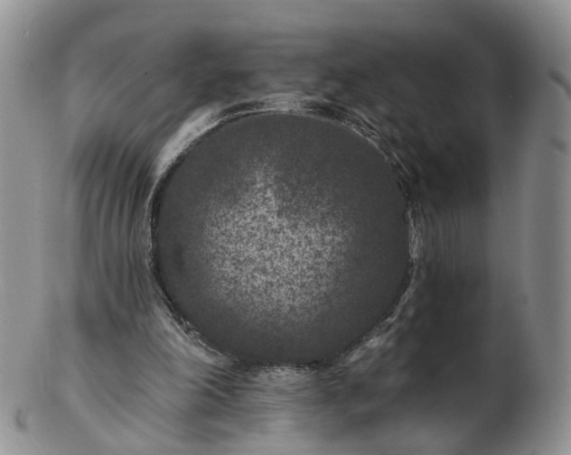 X0000102830198200808251141