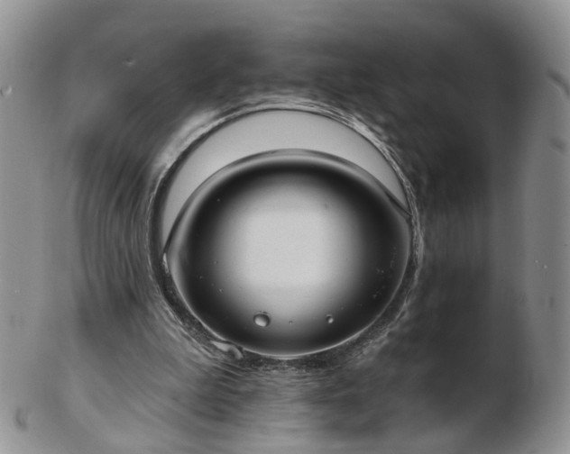 X0000102830199200808251141