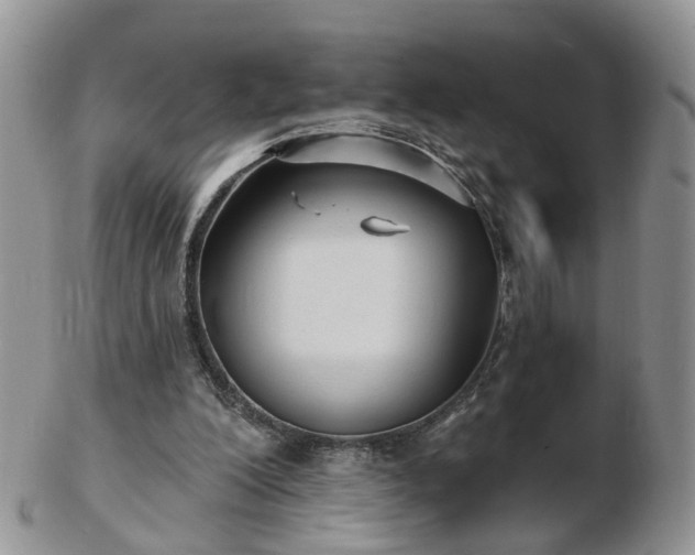 X0000102830200200808251141