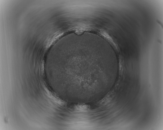 X0000102830202200808251141