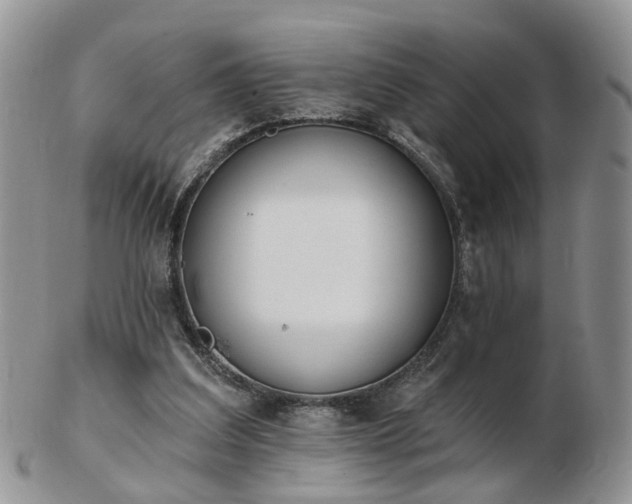 X0000102830203200808251141