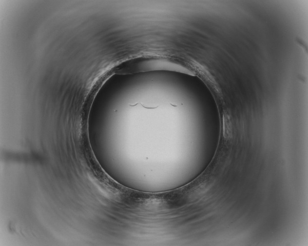 X0000102830204200808251141