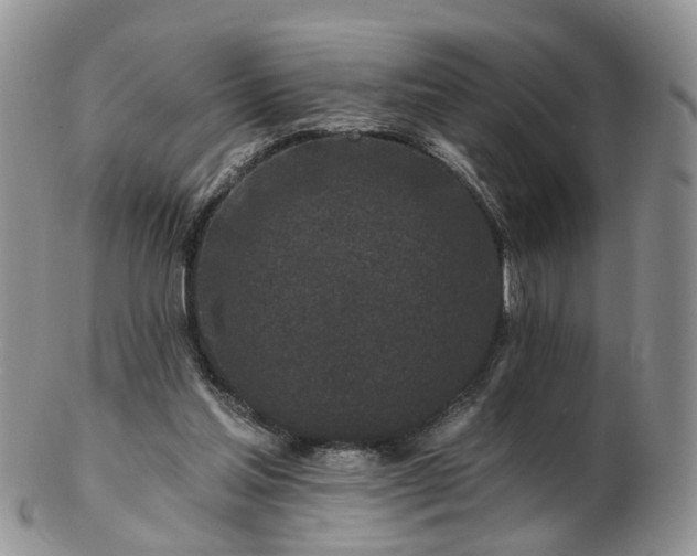 X0000102830205200808251141