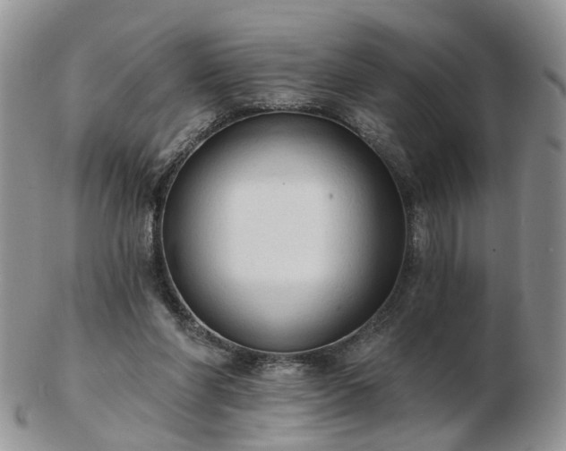 X0000102830206200808251141