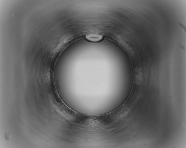 X0000102830207200808251141