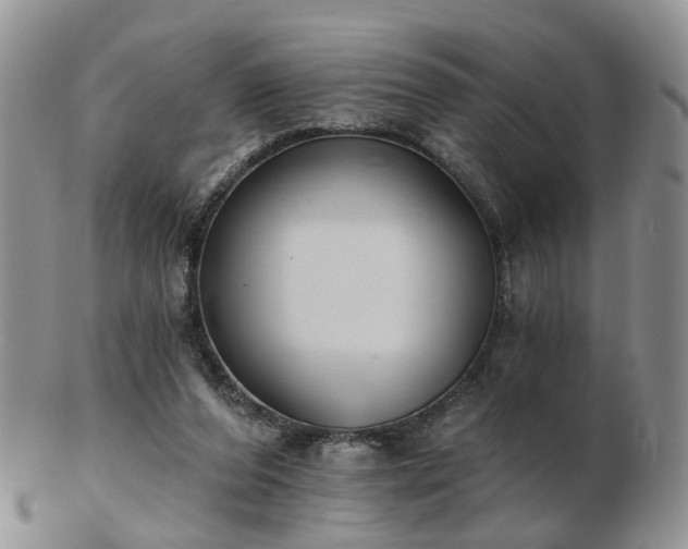 X0000102830208200808251141