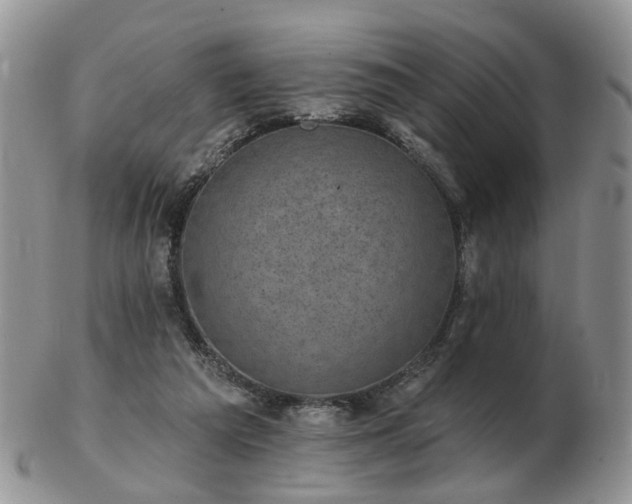 X0000102830209200808251141