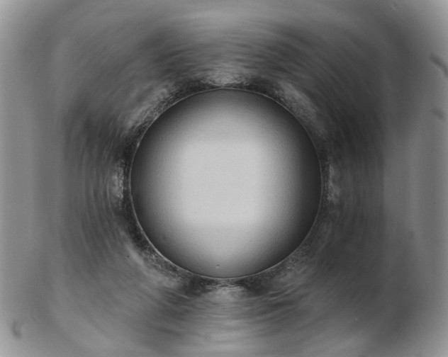 X0000102830210200808251141