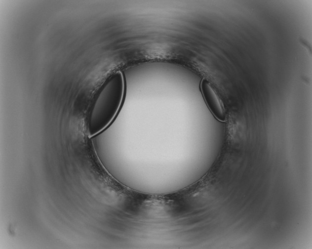 X0000102830211200808251141