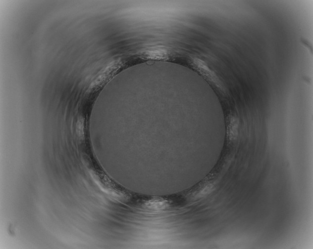 X0000102830213200808251141