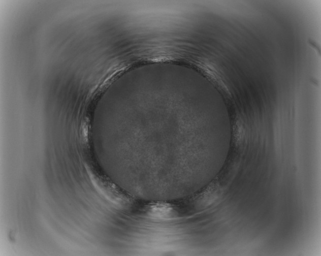 X0000102830214200808251141