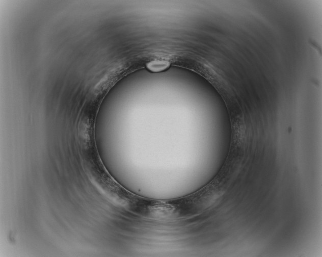 X0000102830215200808251141