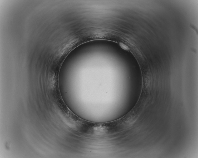 X0000102830216200808251141