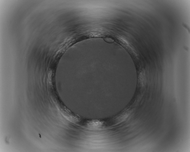 X0000102830217200808251141