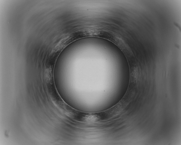 X0000102830218200808251141