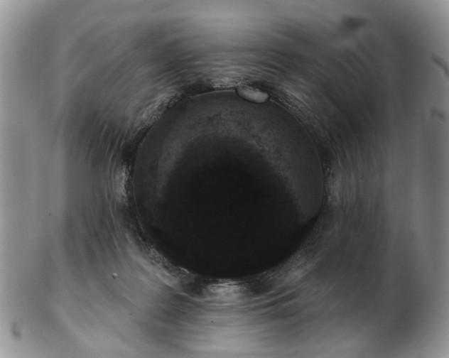 X0000102830219200808251141