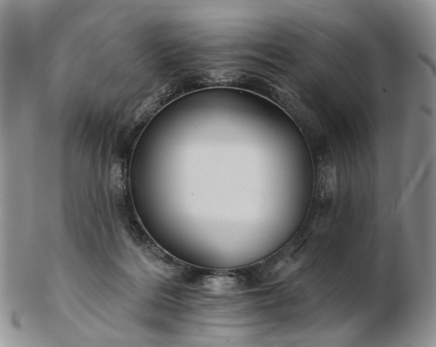 X0000102830220200808251141