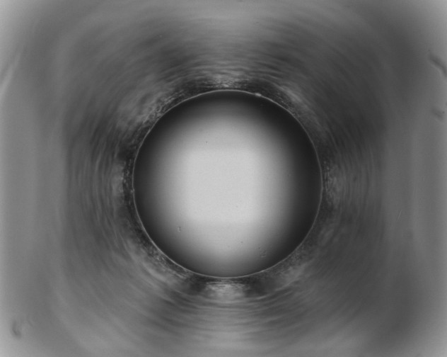 X0000102830221200808251141