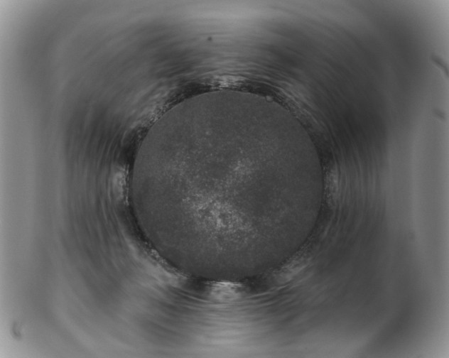 X0000102830222200808251141