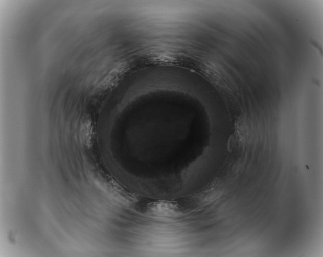 X0000102830223200808251141