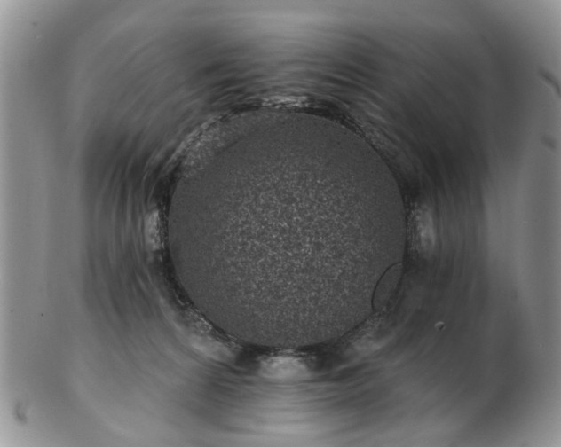 X0000102830224200808251141