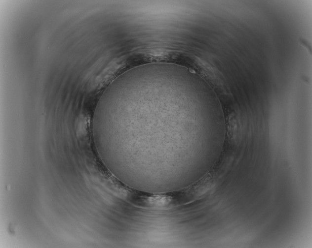 X0000102830225200808251141