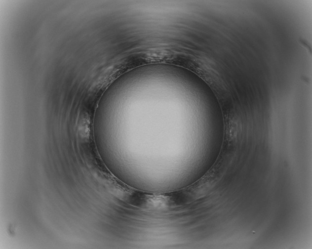 X0000102830226200808251141