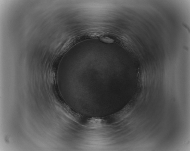 X0000102830227200808251141