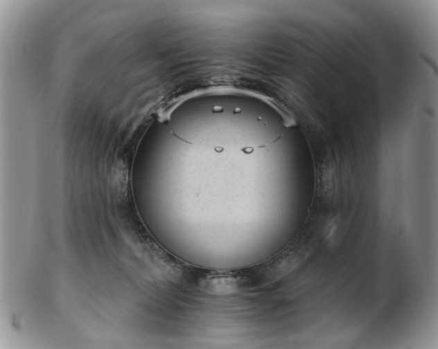 X0000102830228200808251141