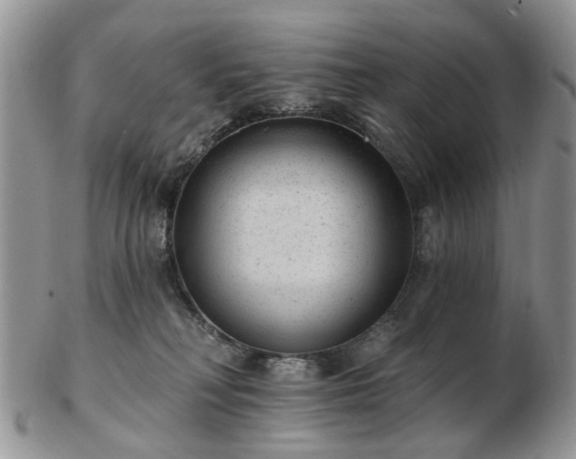 X0000102830230200808251141