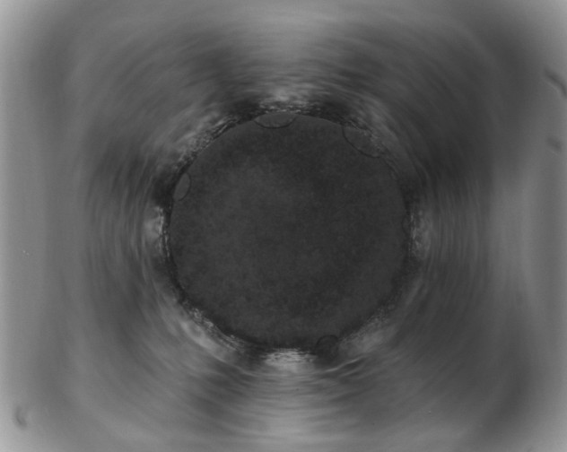 X0000102830231200808251141