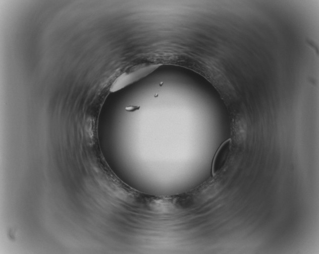 X0000102830232200808251141