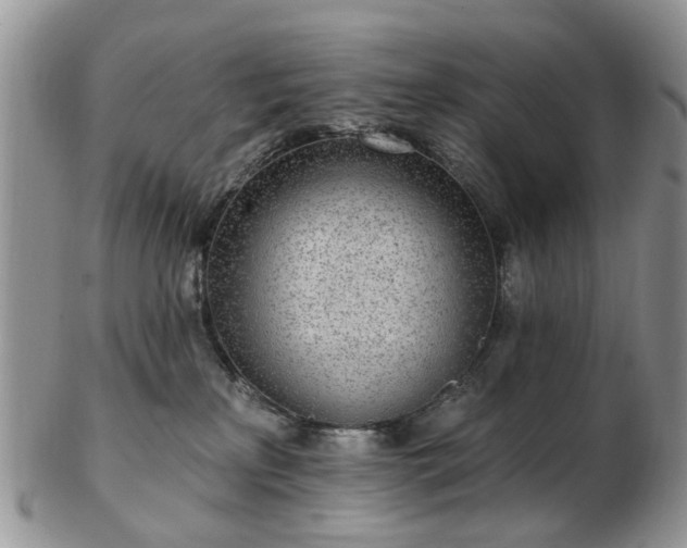 X0000102830233200808251141