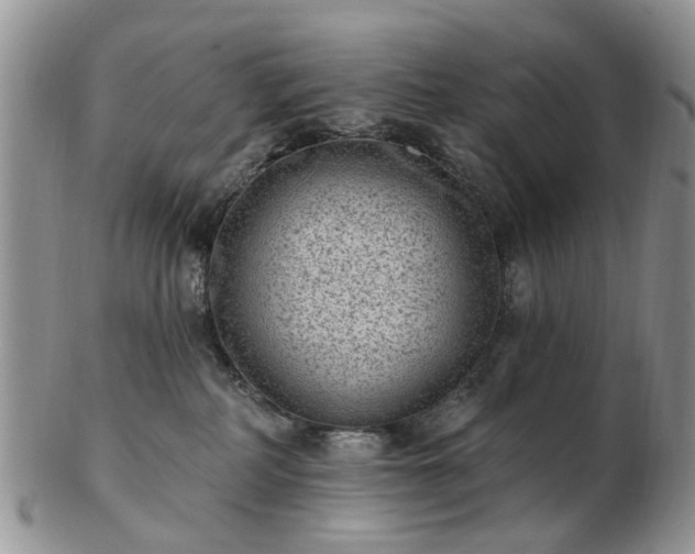 X0000102830234200808251141