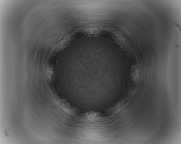 X0000102830235200808251141