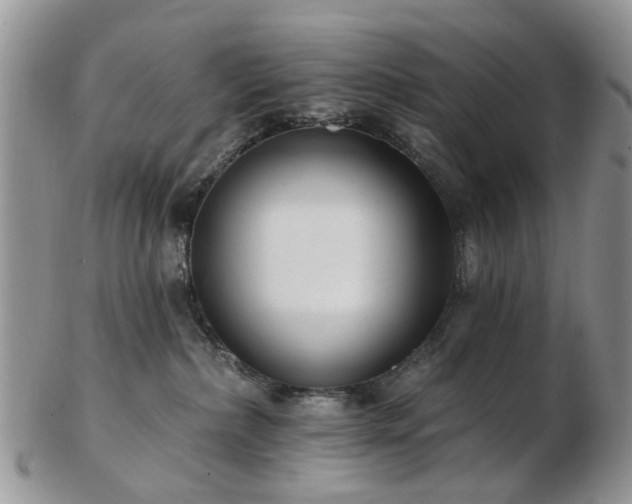 X0000102830236200808251141