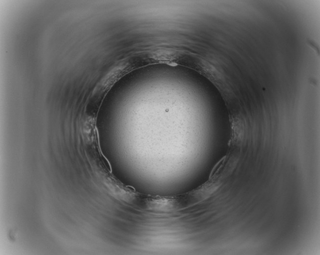 X0000102830237200808251141