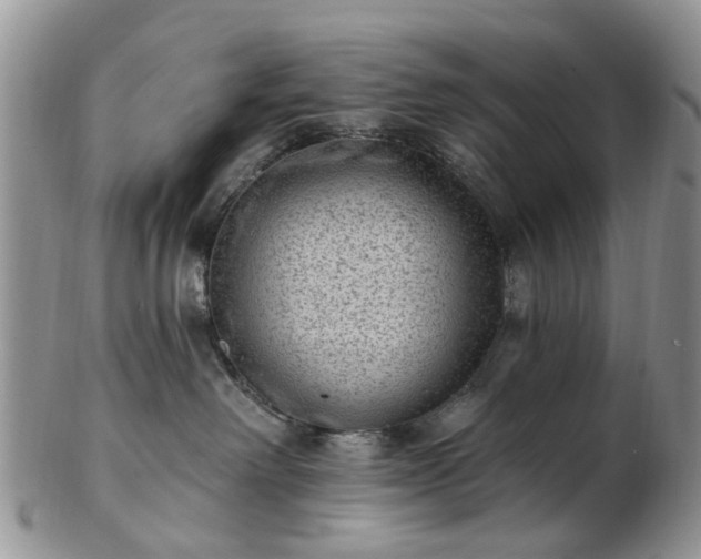 X0000102830238200808251141