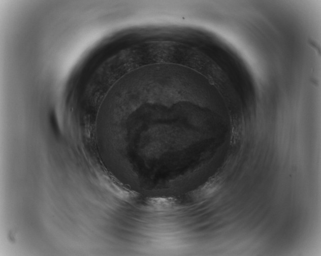 X0000102830239200808251141