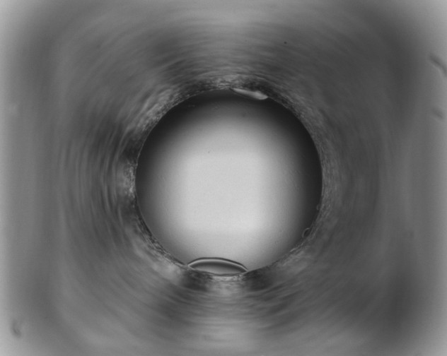 X0000102830240200808251141