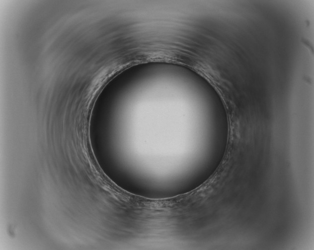 X0000102830241200808251140