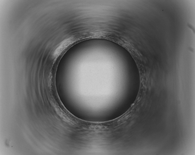 X0000102830242200808251140