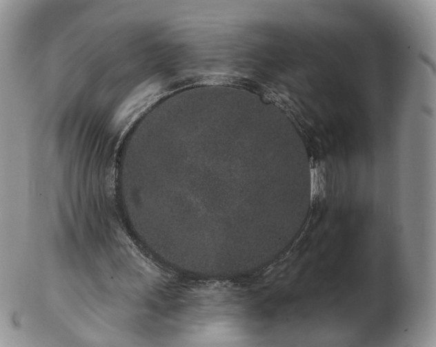 X0000102830243200808251140