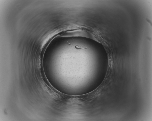 X0000102830244200808251140