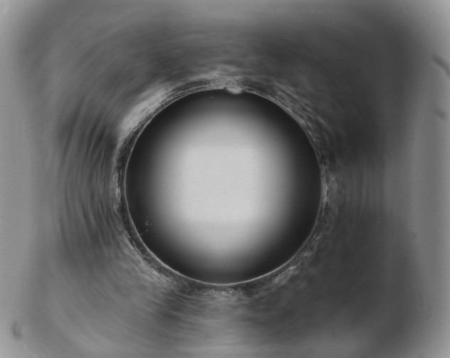 X0000102830245200808251140